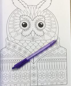 Groovy Owls Coloring Book (Coloring is Fun) (Design Originals) 32 Adorable Art Activities with Quiet, Stoic, Wise, and Happy Owls, plus Beginner-Friendly Advice, Techniques, Color Choices, & Examples Paperback, Coloring Book 38 71Ncw 75ytL