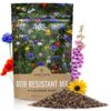 Deer Resistant Wildflower Seed Mixture - Bulk 1/4 Pound Bag - Over 60,000 Deer Tolerant Seeds - Open Pollinated and Non GMO 23 71Ncz43nP L