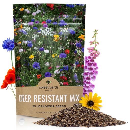 Deer Resistant Wildflower Seed Mixture - Bulk 1/4 Pound Bag - Over 60,000 Deer Tolerant Seeds - Open Pollinated and Non GMO