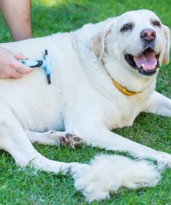 Pet Grooming Dog & Cat Brush For Shedding, Effective for Long & Short Hair Pet Grooming Tool, Reduces Dogs and Cats Shedding Hair By More Than 95%, The Professional Deshedding Tool 25 71NeZoGpgXL