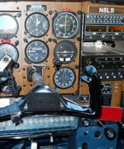 SwimWays Aquaria Aquaria Pineapple 5 71NgMxhOSqL