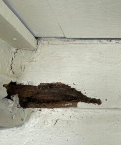 Bondo Home Solutions Wood Filler, Sandable in 15 min, 1.9 lbs with 1 oz Hardener 67 71NgcLnn0EL