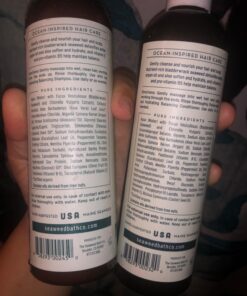 Seaweed Bath Co. Balance Shampoo, Eucalyptus Peppermint Scent, 12 Ounce, Sustainably Harvested Seaweed, Pro Vitamin B5, For Normal to Oily Hair 13 71Ngz5InJL