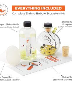 Shrimp Bubble Glass Self-Sustaining Ecosystem Amber 23 71NjOWeFpyL