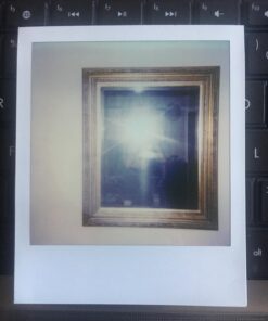 Polaroid Originals Color Film for 600 (4670) 53 71Njp qWVqL