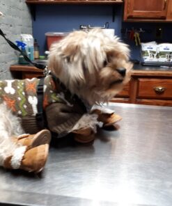 URBEST Dog Shoes with Hook Loop Closure Booties Pet Dog Chihuahua Shoes Boots, 4Pcs (5#, Brown) 5# 36 71NkO5ZJATL