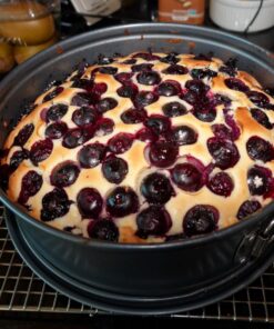 Nordic Ware Pan Springform, 9 Inch, Charcoal Leakproof Springform Pan 39 71NktlMIi1L