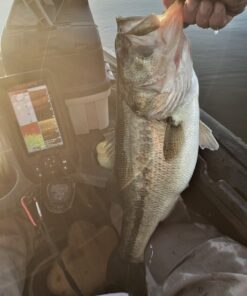 Garmin Striker 4cv with Transducer, 4" GPS Fishfinder with CHIRP Traditional and ClearVu Scanning Sonar Transducer and Built In Quickdraw Contours Mapping Software 21 71Nl2nrGFAL