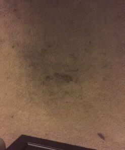 Folex Instant Carpet Spot Remover, 128oz Odor Free 128 Fl Oz (Pack of 1) 44 71NmvbXJUmL