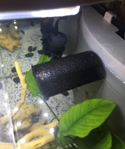 Zanyzap Pre-Filter Sponge 3 Pack for Fluval Edge Aquarium 34 71NnPjr8bJL