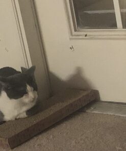 SmartyKat Scratch Up Corrugated Hanging Cat Scratcher, Catnip Infusion Technology - Brown, Single Wide Scratch Up (Catnip Infused) Single Pack 37 71NnlZqSgwL