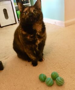 Pet Pizazz Wool Ball Cat Toy - 6PC - 100% Wool Cat Toys for Indoor Cats Interactive 24 71NoO5wyKRL