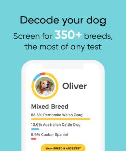 Alternative view of Embark Breed Identification Kit | Most Accurate Dog DNA Test | Test 350+ Dog Breeds | Breed ID Kit with Ancestry & Family Tree