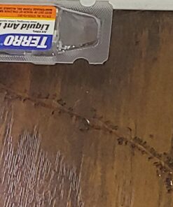 Terro Liquid Ant Killer Baits(6 Bait Stations Net Contents 2.2fl.oz/0.36fl.oz) 20 71NrDwtLxDL