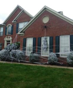 Fun World Costumes Spider Web Decoration Standard 24 71NsvA5I ML