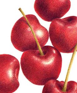 Alternative view of Derwent Blender and Burnisher Pencil Set, Drawing, Art Supplies (2301774) , 1 Set , assorted