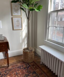 Alternative view of Panacea Spanish Moss, 8 oz (250 cubic Inch), Natural, Brown