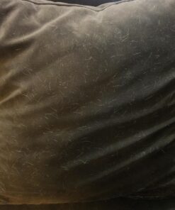 Lilly Brush Forever Furless Pet Hair Remover Brush | Gentle Bristled Cat & Dog Hair Remover Brush for Home, Auto Car Detailing Supplies, Lint Brush, Furniture, Fabric & Rug Cleaner 41 71NurewoymL 1