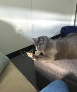 Go Cat Cat Catcher Teaser Wand with Mouse Cat Toy 31 71NvsGGMXAL