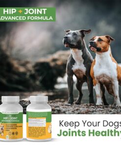 Advanced Hip & Joint Formula - 90 Mobility & Pain Relief Dog Chews - Glucosamine, Chondroitin, MSM, & Turmeric for Superior Joint Health Chewable 21 71NxQ8WxtgL
