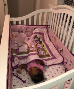 Bedtime Originals Lavender Woods 3 Piece Bedding Set 43 71NxgTtpaOL