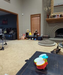 Amazon Basics Kids 4-Cube Bookcase With Reading Nook and 6 Shelves for Storage, Espresso, 11.8" D x 40.1" W x 24" H 28 71NyPDMN6L