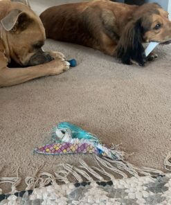 Nylabone Power Chew Toys Variety Triple Pack - Dog Toys for Aggressive Chewers - Indestructible Dog Bones for Small Dogs - Chicken, Bacon & Peanut Buter Flavors, Small/Regular (3 Count) Small up to 25 lbs. 44 71Nz6i4YL