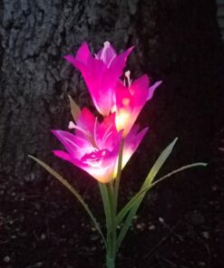 Outdoor Solar Garden Stake Lights - Doingart 2 Pack Solar Powered Lights with 8 Lily Flower, Multi-Color Changing LED Solar Decorative Lights for Garden, Patio, Backyard (Purple and White) Purple & White 20 71NzcbEa0L