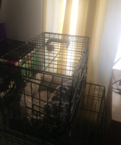 Dog Crates for Small Dogs - Dog Crate 20" Pet Cage Single-Door Best for Puppy & Kitten Pets - Wire Metal Kennel Cages with Tray - in-Door Foldable & Portable for Animal Out-Door Travel 20.0"L x 13.0"W x 16.0"H 39 71O2StAZTAL 2