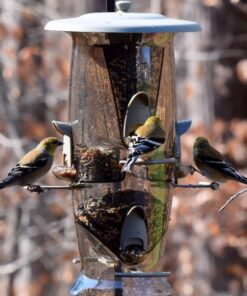 More Birds Abundance Bird Feeder, Combination Mixed Seed and Thistle, 6 Feeding Ports, 3.5 lb Seed Capacity Medium 23 71O3IeGvelL