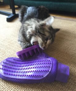 KONG - Cat ZoomGroom Purple 28 71O3bsj6t8L