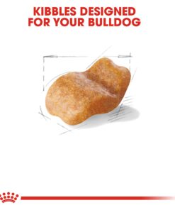 Royal Canin Bulldog Adult Dry Dog Food, 30 lb bag Chicken 30 Pound (Pack of 1) 22 71O5CknYTL