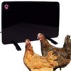 Cozy Products Safe Chicken Coop Pet Heater 200W Flat Panel Technology, One Size, Black (Pack of 3) 36 71O6C1GqbL