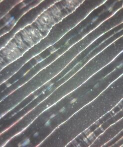 Opti-Tekscope Digital USB Microscope Camera- Advanced CMOS Sensor, True High Definition Macro 200x Zoom Imaging –1600 x 1200, Video, Flexible Acrylic Stand, 8 LED, Windows Mac Linux 31 71O6VeSOE6L