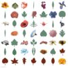 Cricut 3D Floral Home Decor Cartridge 3 71O6dJ4QqaL
