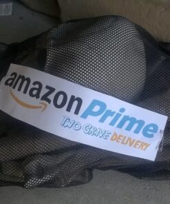 Fun Express Bag of Skeleton Bones - 28 Piece Set 27 71O8R8oNhXL