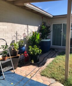 VIVOSUN 5-Pack 10 Gallon Plant Grow Bags, Heavy Duty Thickened Nonwoven Fabric Pots with Handles Black 10 Gallons 46 71OAciDMqL