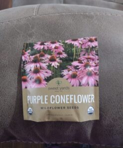 Purple Coneflower Seeds – Extra Large Packet – Over 3,000 Open Pollinated Non-GMO Wildflower Seeds – Echinacea purpurea 1 Ounce Pouch 31 71OD2 UzhvL