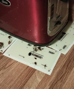 Catchmaster Mouse and Insect Glue Boards, 75-Pack Mouse Traps Indoor for Home, Sticky Pest Control Adhesive for Catching Bugs, Rats & Rodents, Non Toxic Bulk Glue Traps Standard 27 71ODhA5jJJL 2