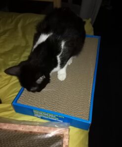 Catit Cat Scratcher, Wide Cat Board 29 71OE0WOtchL