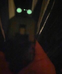 TRUGLO Tritium Handgun Sight High-Visible Night Sight with Daylight White Dot & Low-Light Tritium Glowing Green Dot, Compatible with Ruger Handguns Ruger LC 14 71OELbeFTsL