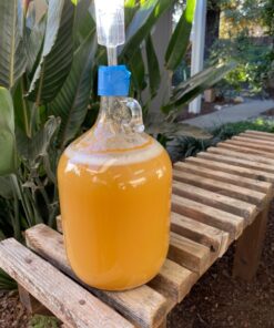 Lalvin EC-1118 Saccharomyces bayanus (10 Packs) 0.17 Ounce (Pack of 10) 14 71OESuNoqeL