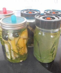 Nourished Essentials Fermentation Kit - 3 Pack Airlock Fermentation Lids for Wide Mouth Mason Jars with Vacuum Sealer - Air Lock for Fermenting Kimchi, Sauerkraut, Pickle and Kombucha 43 71OEUKgaR2L