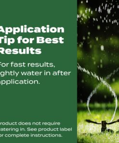 Scotts Turf Builder Lawn Food - Fertilizer for All Grass Types, 5,000 sq. ft., 12.5 lbs. 5,000 sq. ft. 36 71OFAExDn7L