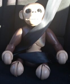 Zoomer - Chimp Standard Packaging 46 71OGgwDahL