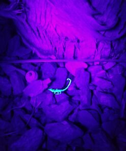 TERRO Scorpion Killer Aerosol Spray T2101 1 Pack 42 71OGsTN1SpL