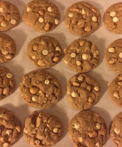 Mauna Loa Macadamias, Dry Roasted with Sea Salt, 10-oz. 33 71OHyw VML