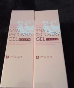 MIZON Snail Line Gift Set, Skincare Set, Set of Two Snail Recovery Gel Cream, Wrinkle Care, Skin Elasticity, Moisture, Fragrance-Free, Paraben-Free (45ml 1.52 fl.oz -Pack of 2) 2 Count (Pack of 1) 41 71OIzLGZ7mL