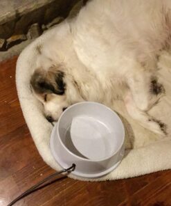 K&H Pet Products Thermal-Bowl Outdoor Heated Cat & Dog Water Bowl Granite 1.5 Gallons Standard Packaging 19 71OK929hwrL