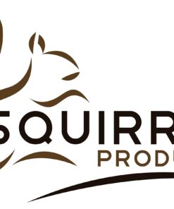 Squirrel Products Heavy Duty Pink Disc Tree Swing with Rope for Outdoor Play - Easy DIY Addition to Playset or Tree 17 71OKRHArShL